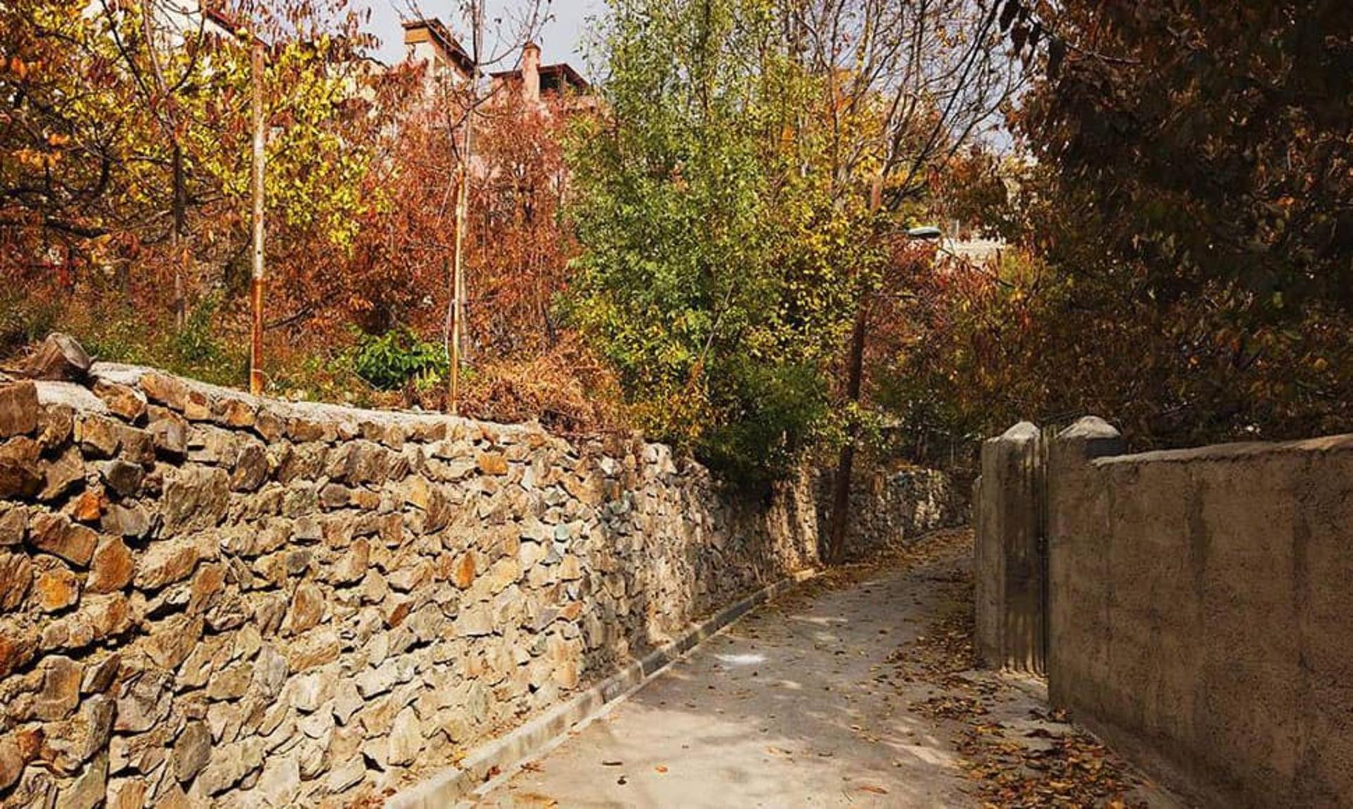 باغ‌های روستای افجه