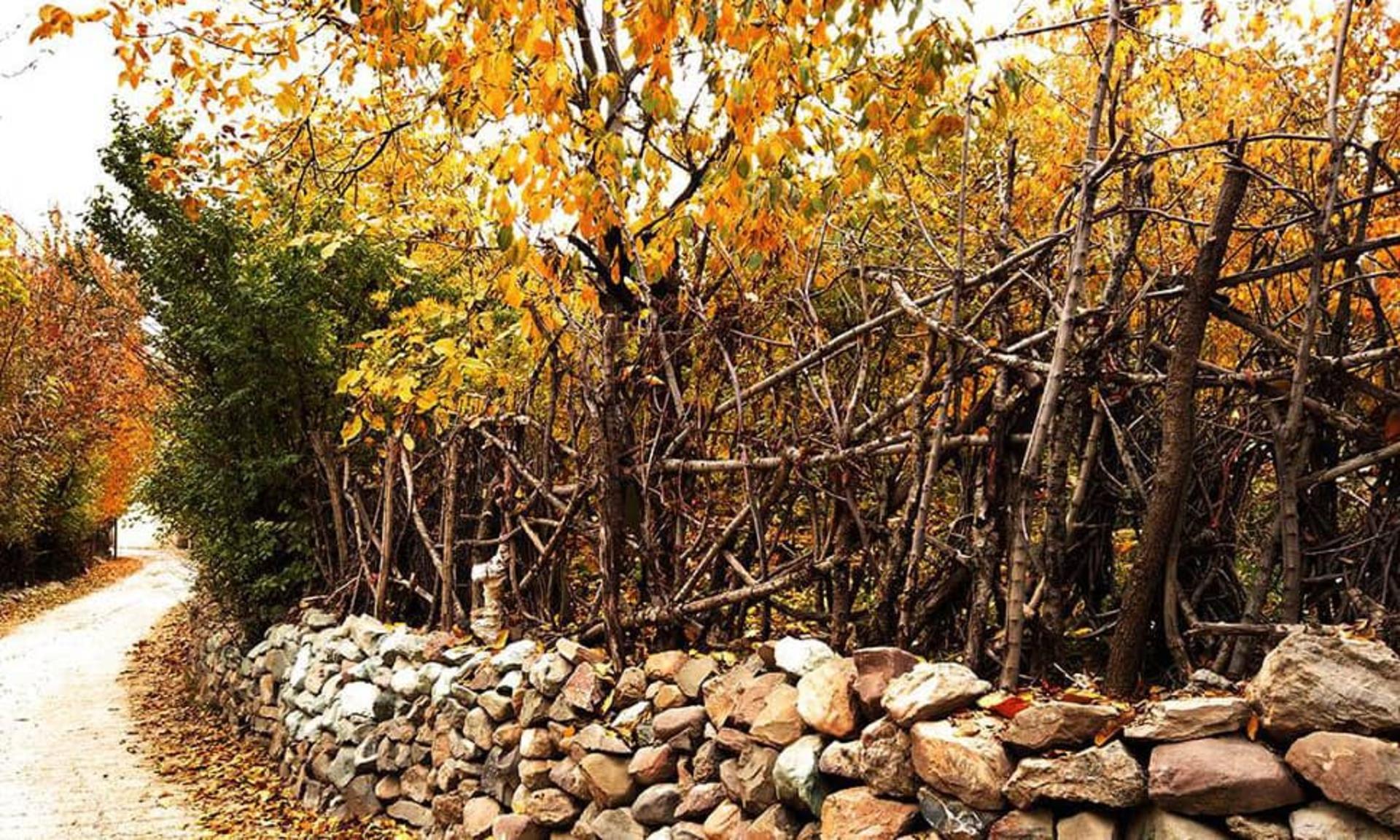 پاییز روستای افجه