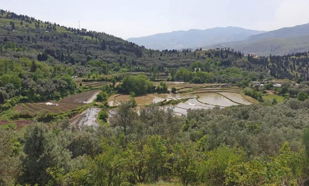 تپه مارلیک