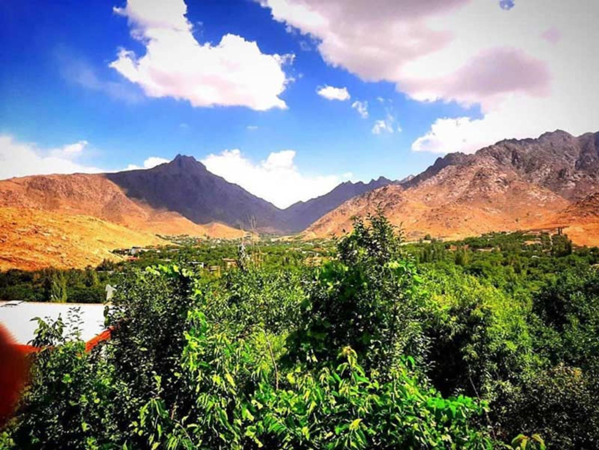 درختان سرسبز روستای ده بالا در جوار شیرکوه