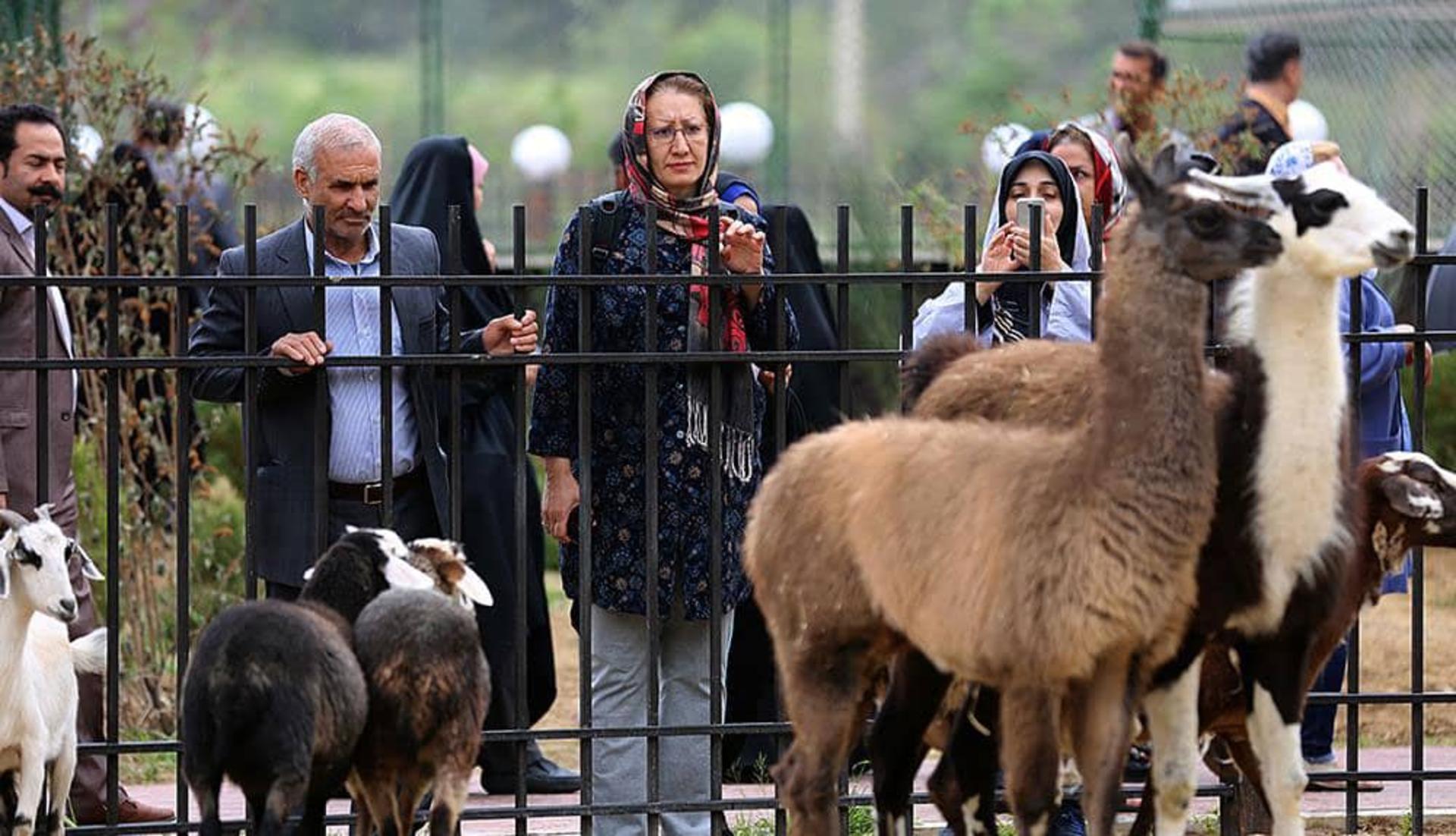 باغ وحش باغ راز هستی چیتگر