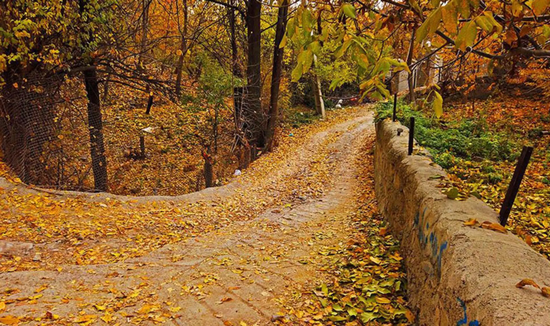 کوچه‌پس‌کوچه‌های روستای افجه