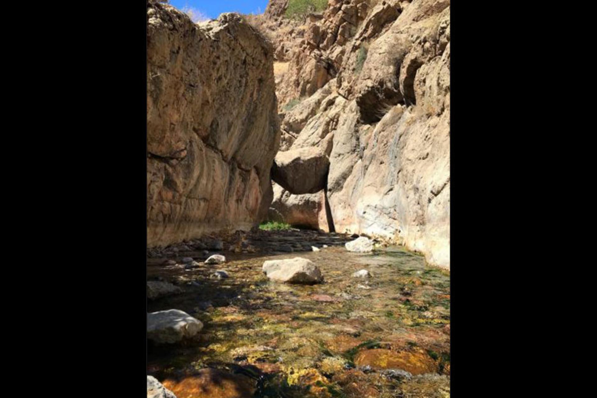 روستای ابدال آباد