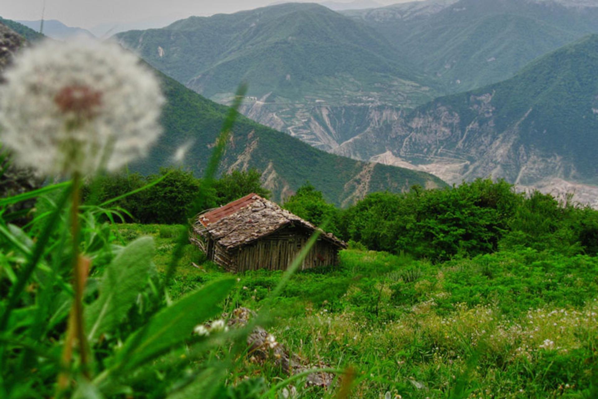 کلبه جنگلی در آمل مازندران