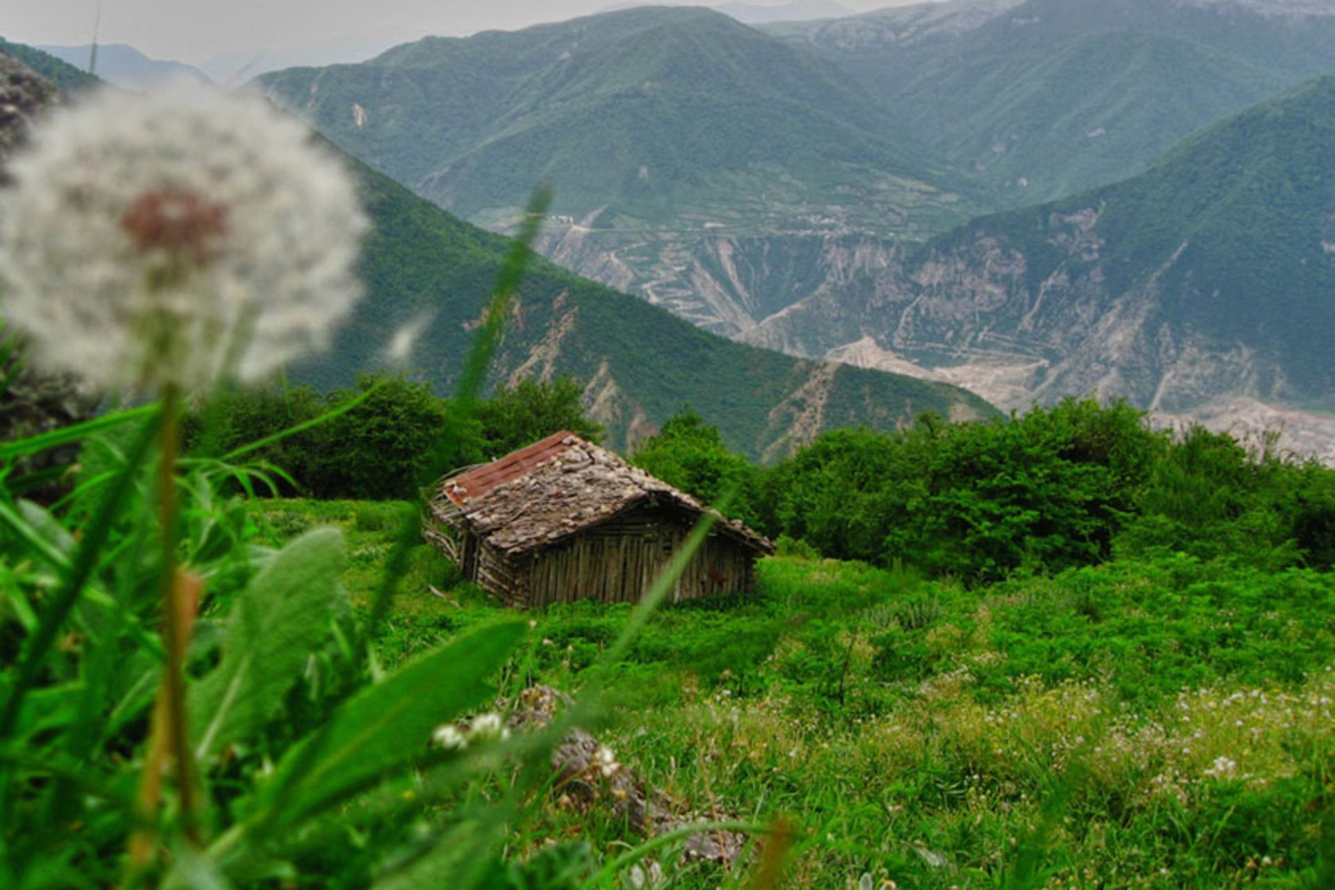 کلبه جنگلی در آمل مازندران