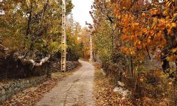 کوچه‌ باغ‌های روستای افجه