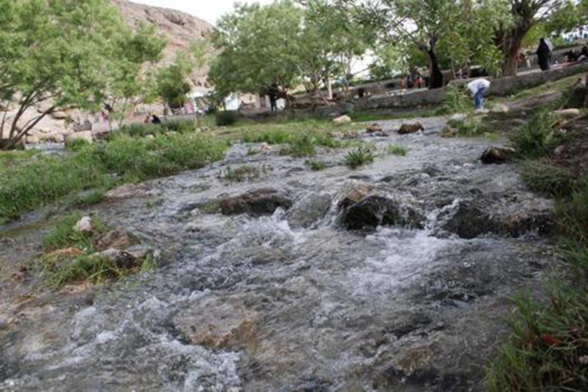 چشمه خروشان غربالبیز در میان درختان 