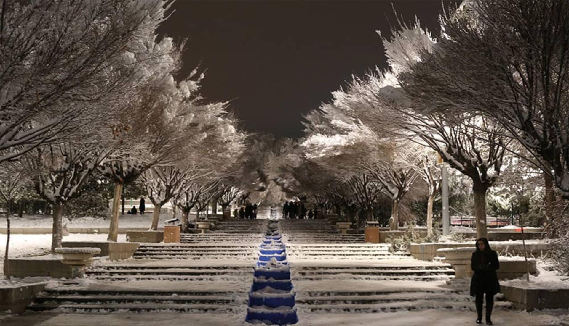 پارک نیاوران در یک شب برفی