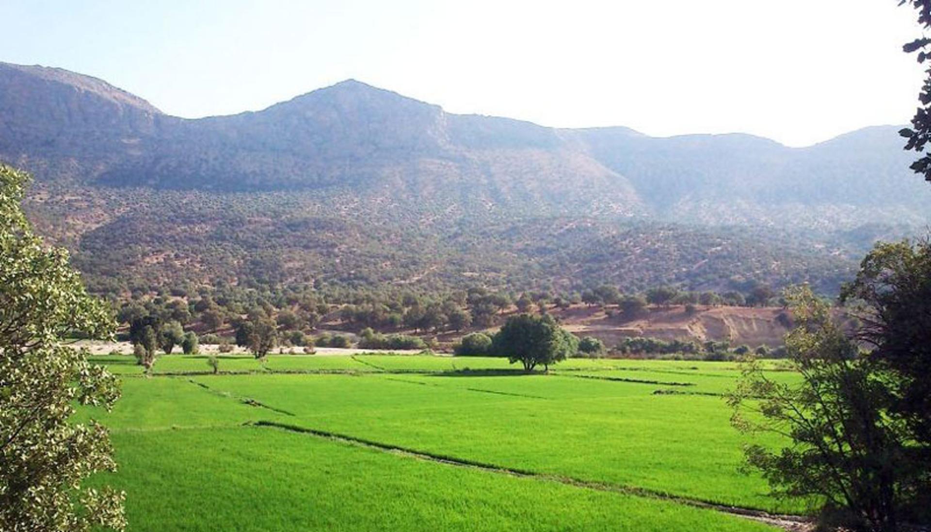 کشتزارهای سرسبز روستای جیدرزاده تنگ بستانک