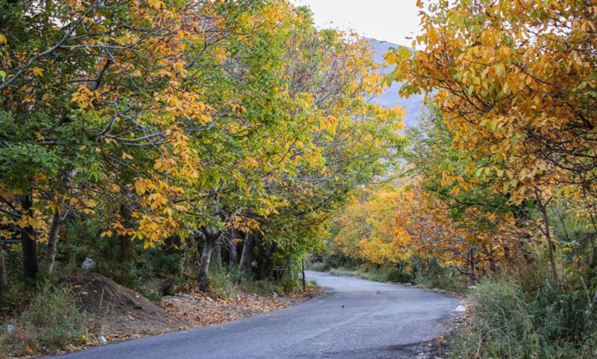 طبیعت پاییزی در روستای بیدخوان بردسیر