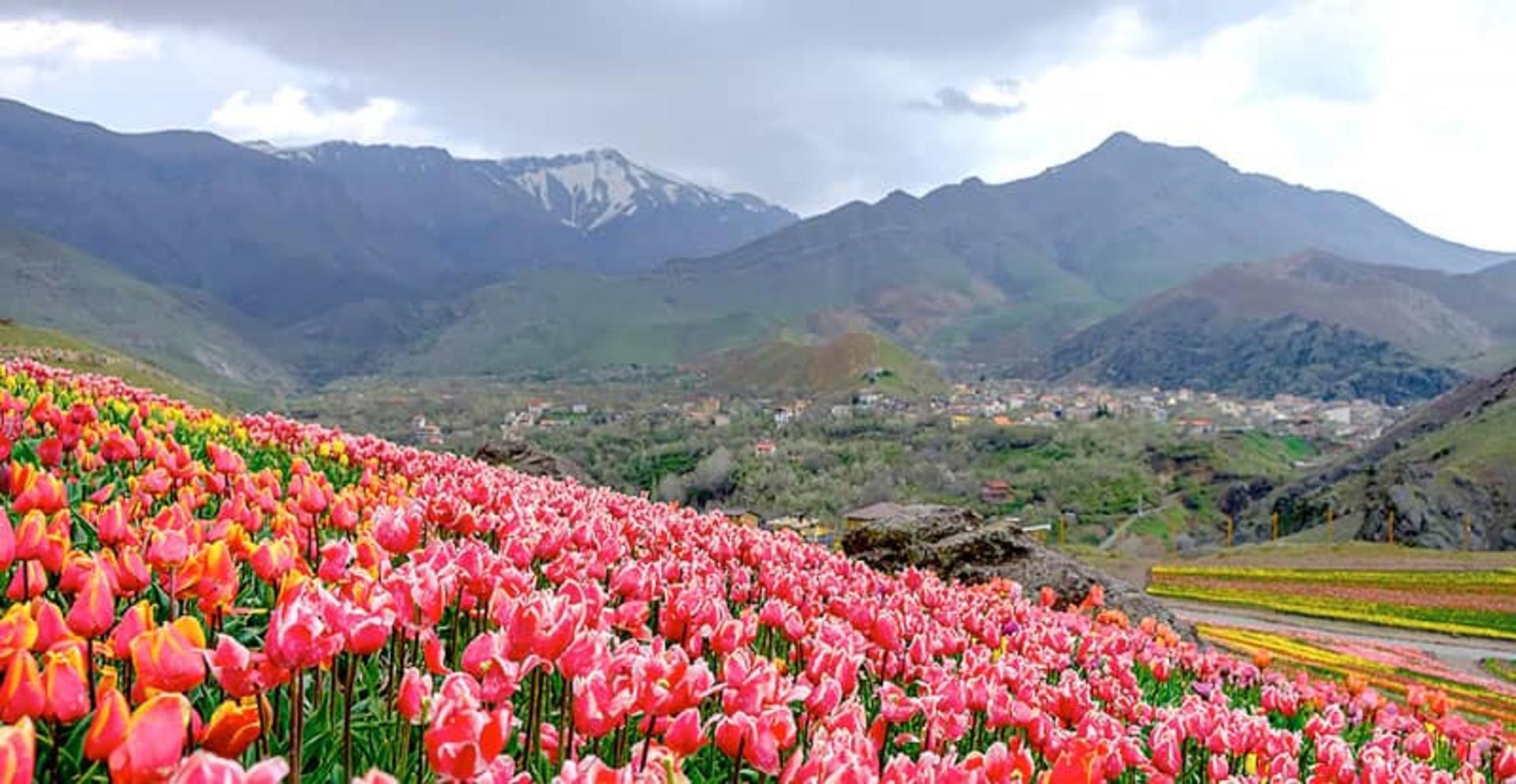 نمای روستای کندر از دشت لاله‌ها
