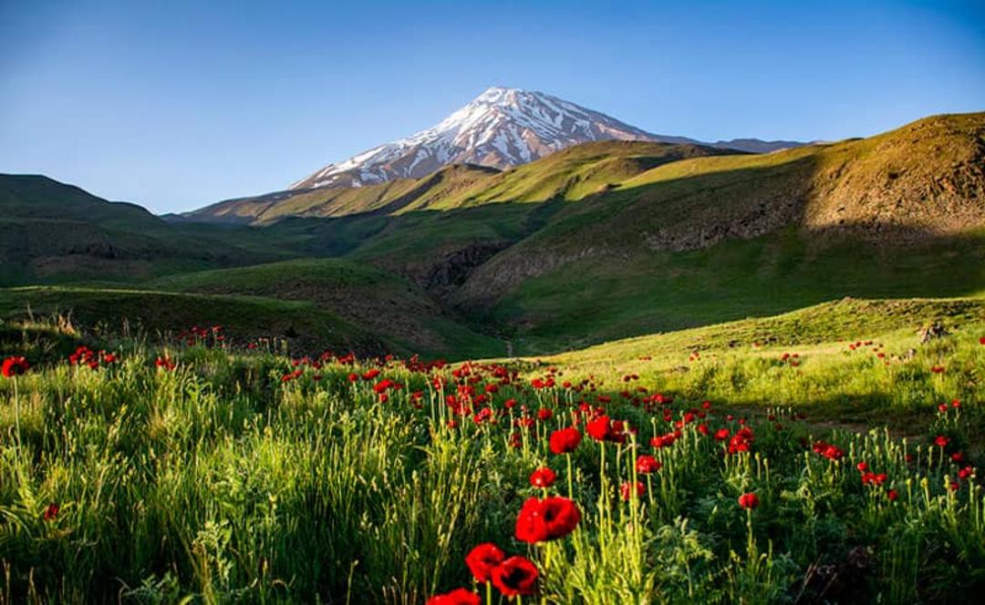 نمایی از دماوند از دشت لار