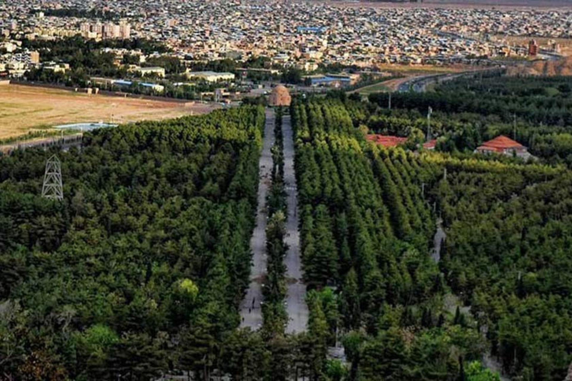 نمایی از درختان سرسبز در شهر کرمان
