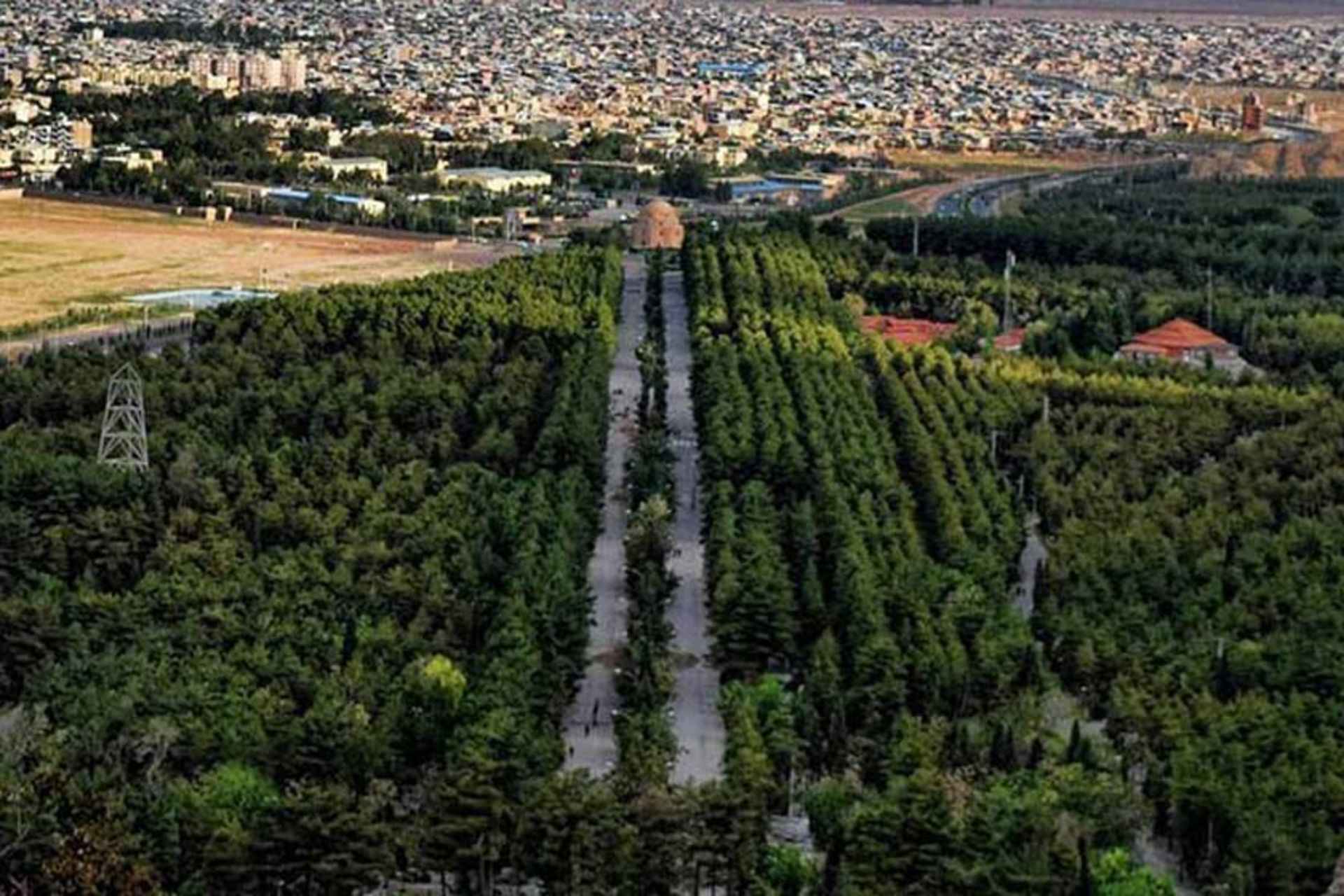 نمایی از درختان سرسبز در شهر کرمان