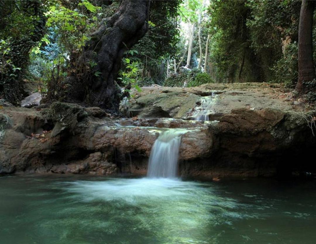 2021-3-621cf342-69ab-4a39-95f0-c6058777dea1