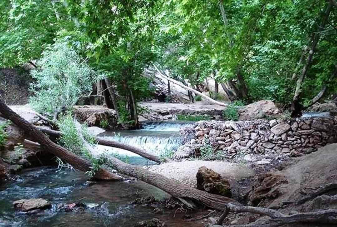 طبیعت زیبا و درختان منطقه تنگ بستانک