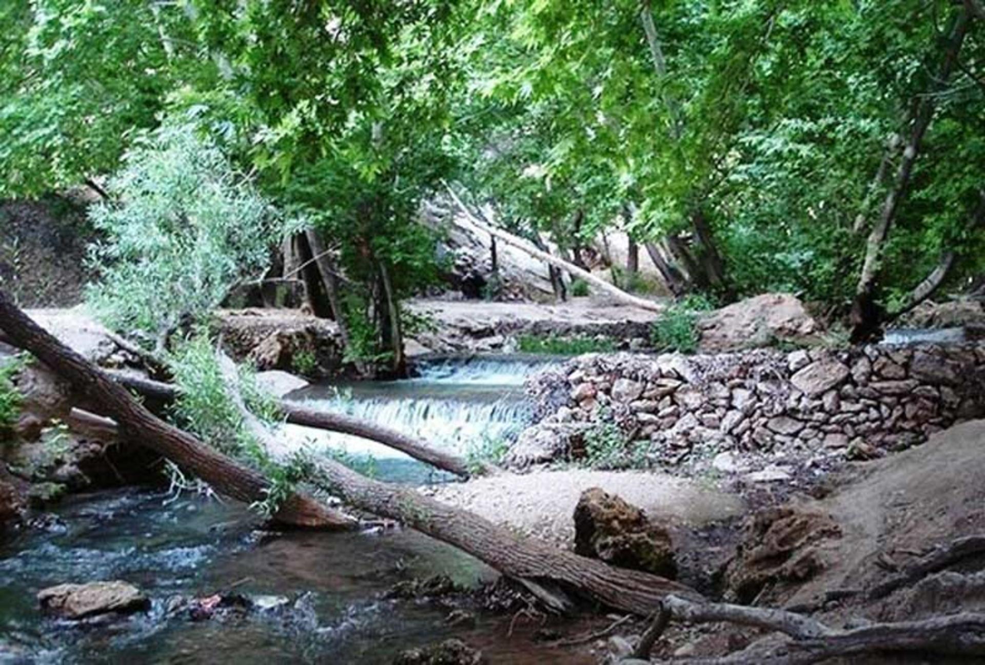 طبیعت زیبا و درختان منطقه تنگ بستانک