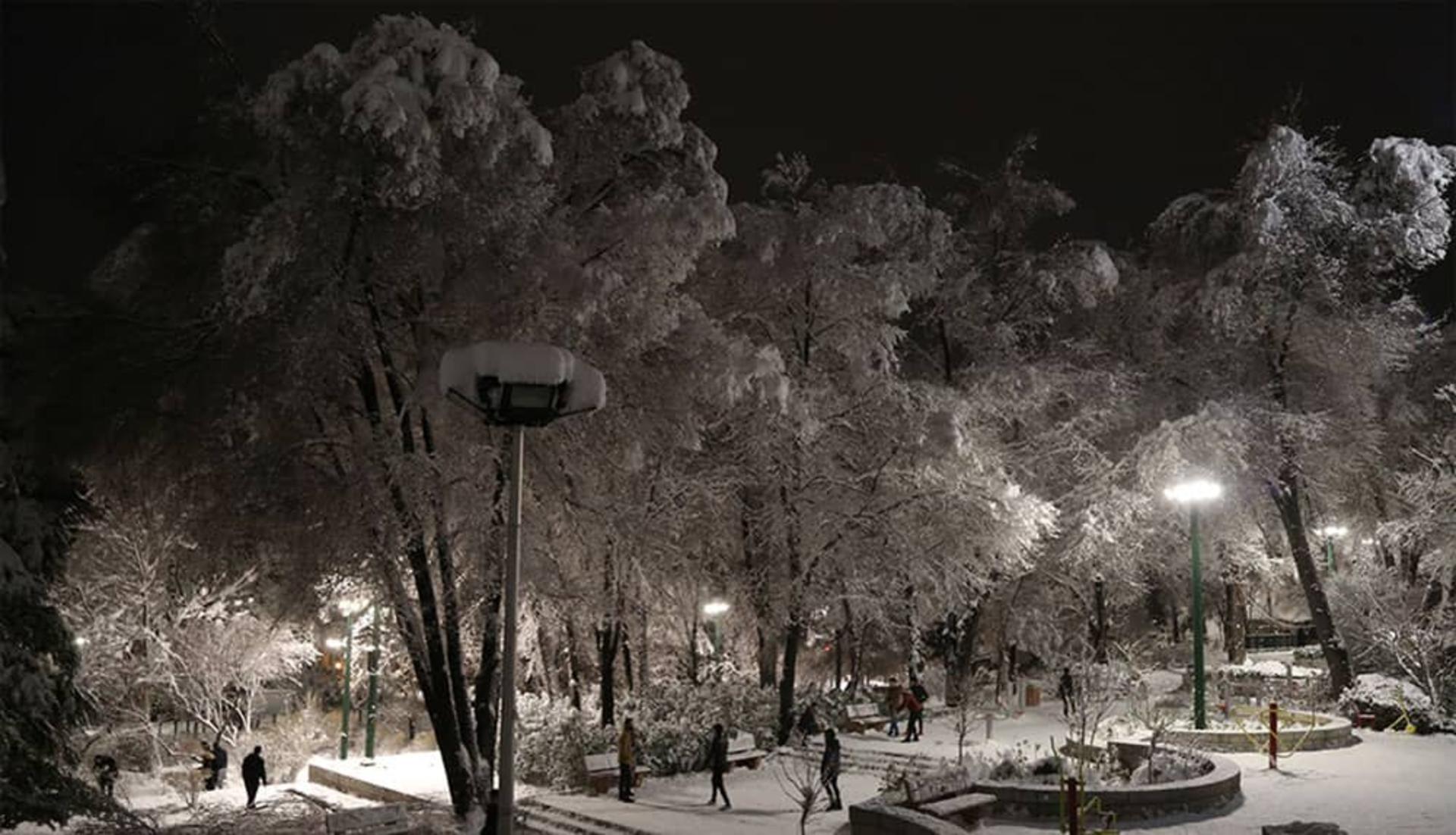درختان پوشیده از برف پارک نیاوران