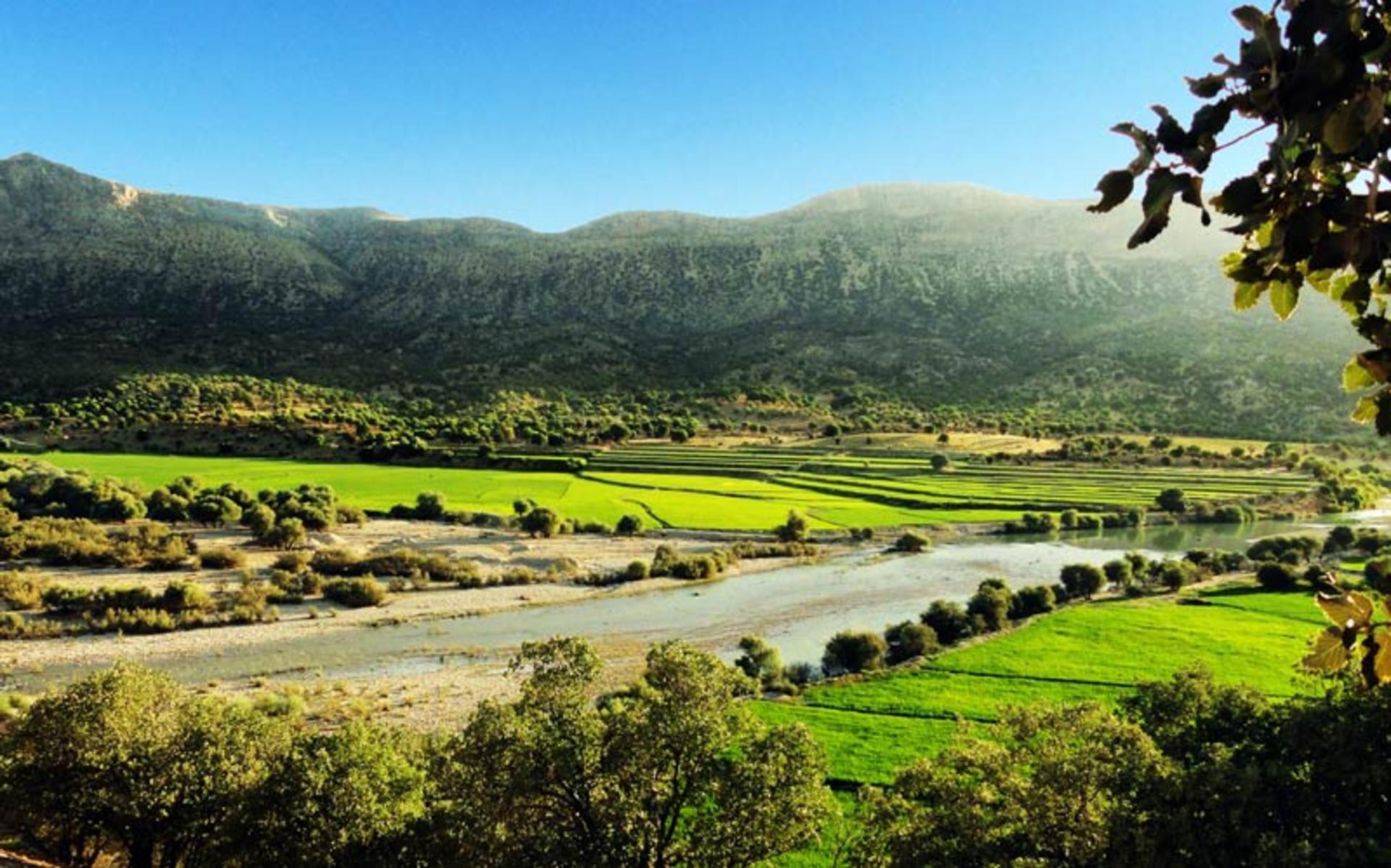 نمایی از رودخانه کر و درختان اطراف آن