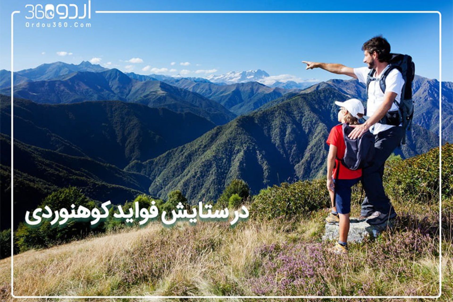 رپورتاژ