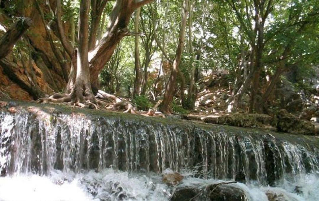 آبشارهای کوتاه میان جنگل تنگ بستانک