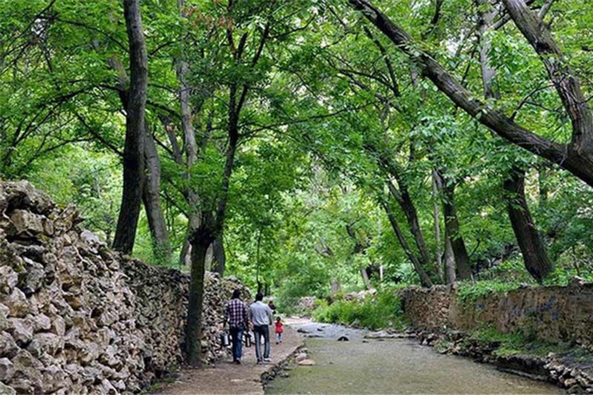 طبیعت سرسبز و سنگ چین های روستای خادر مشهد