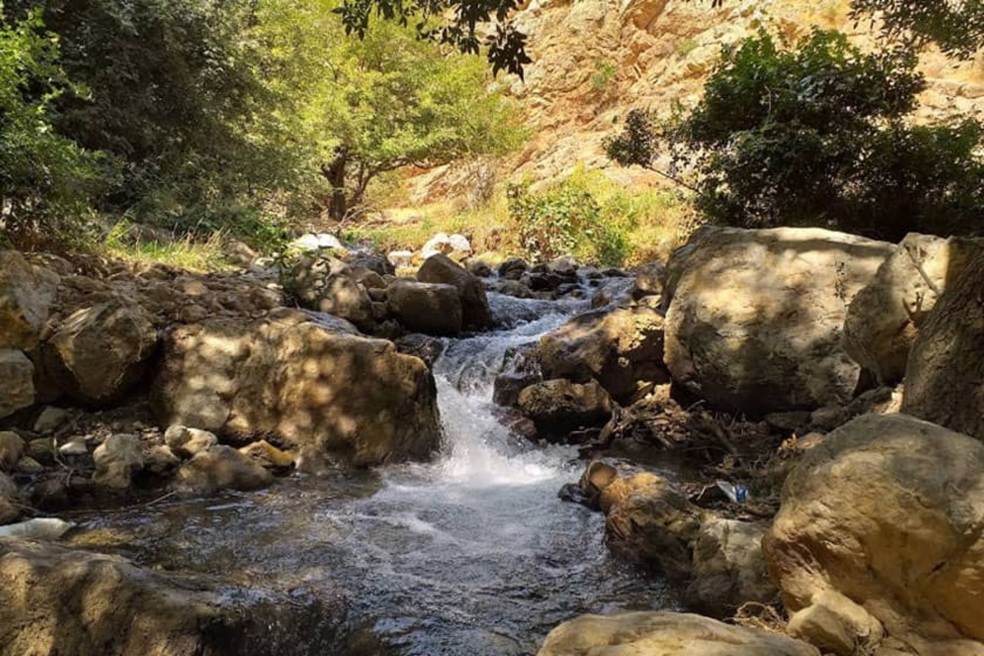 جریان رودخانه در محیطی سرسبز