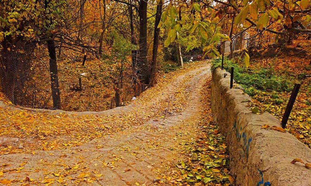 کوچه باغ‌های روستای افجه