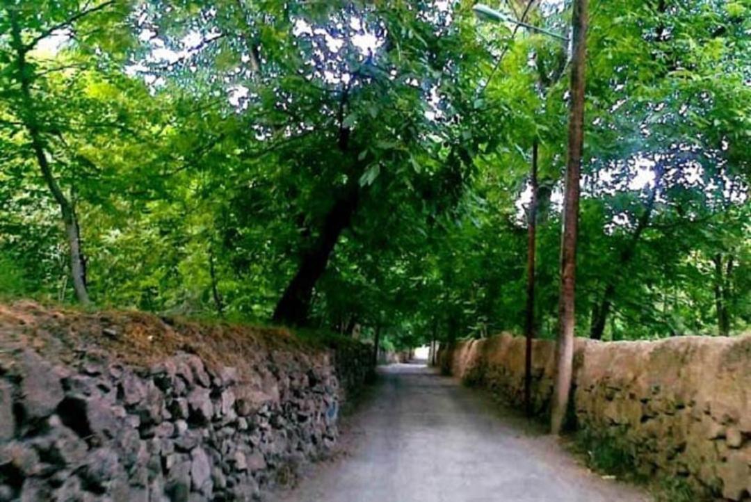 سنگ چین ها و درختان سرسبز روستای نغندر