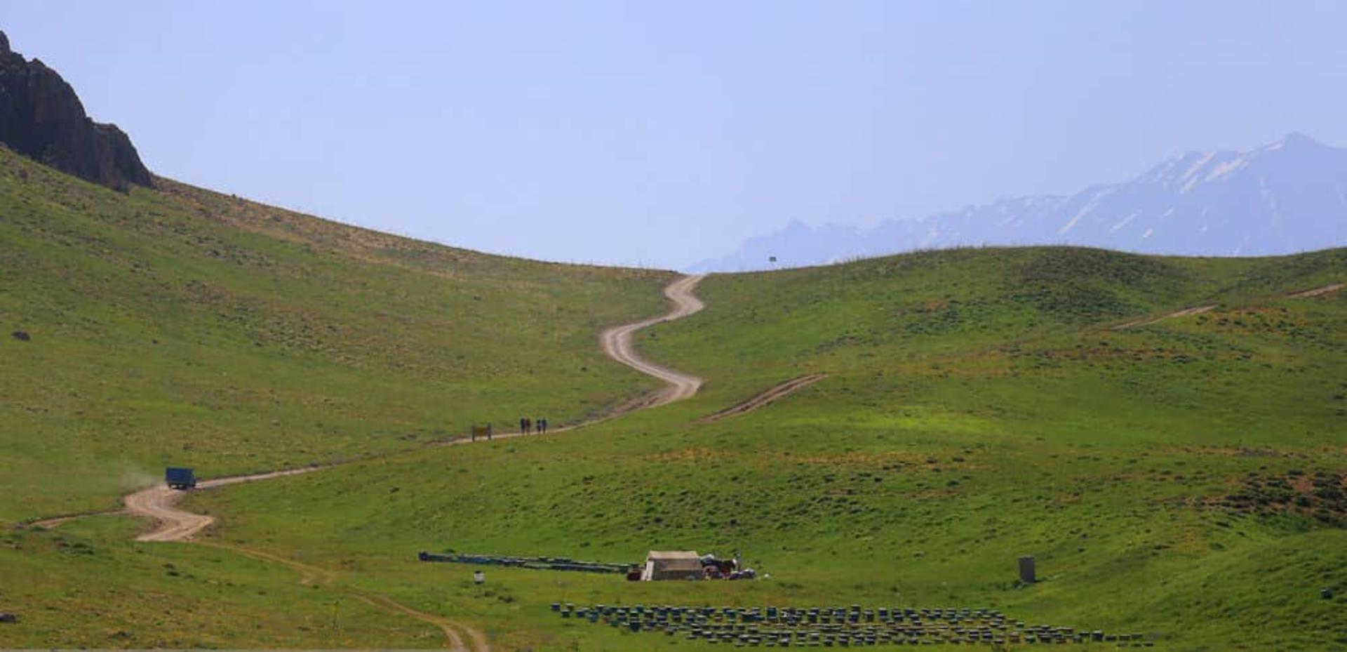 کندوهای عسل دشت لار