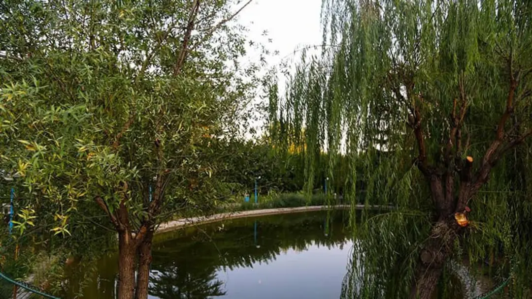 دریاچه پارک گفتگو