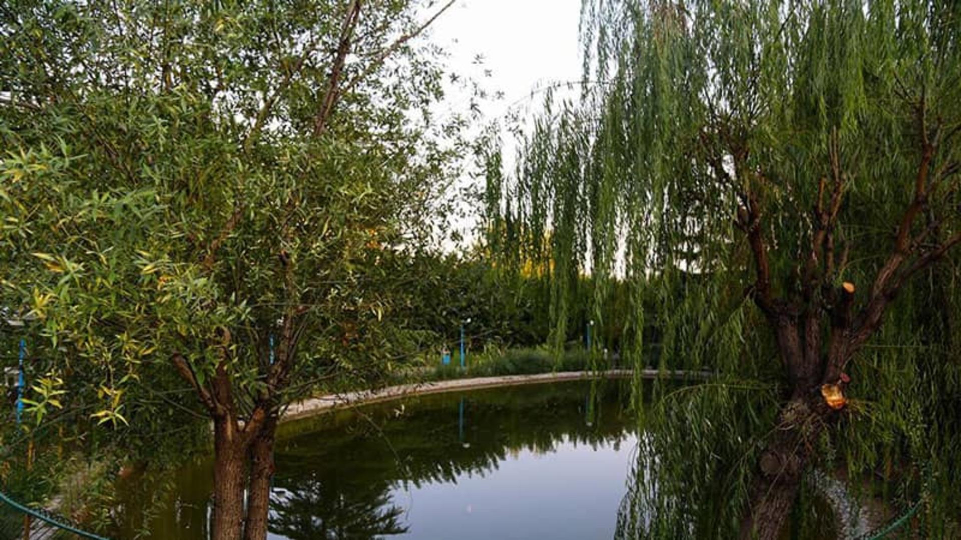 دریاچه پارک گفتگو