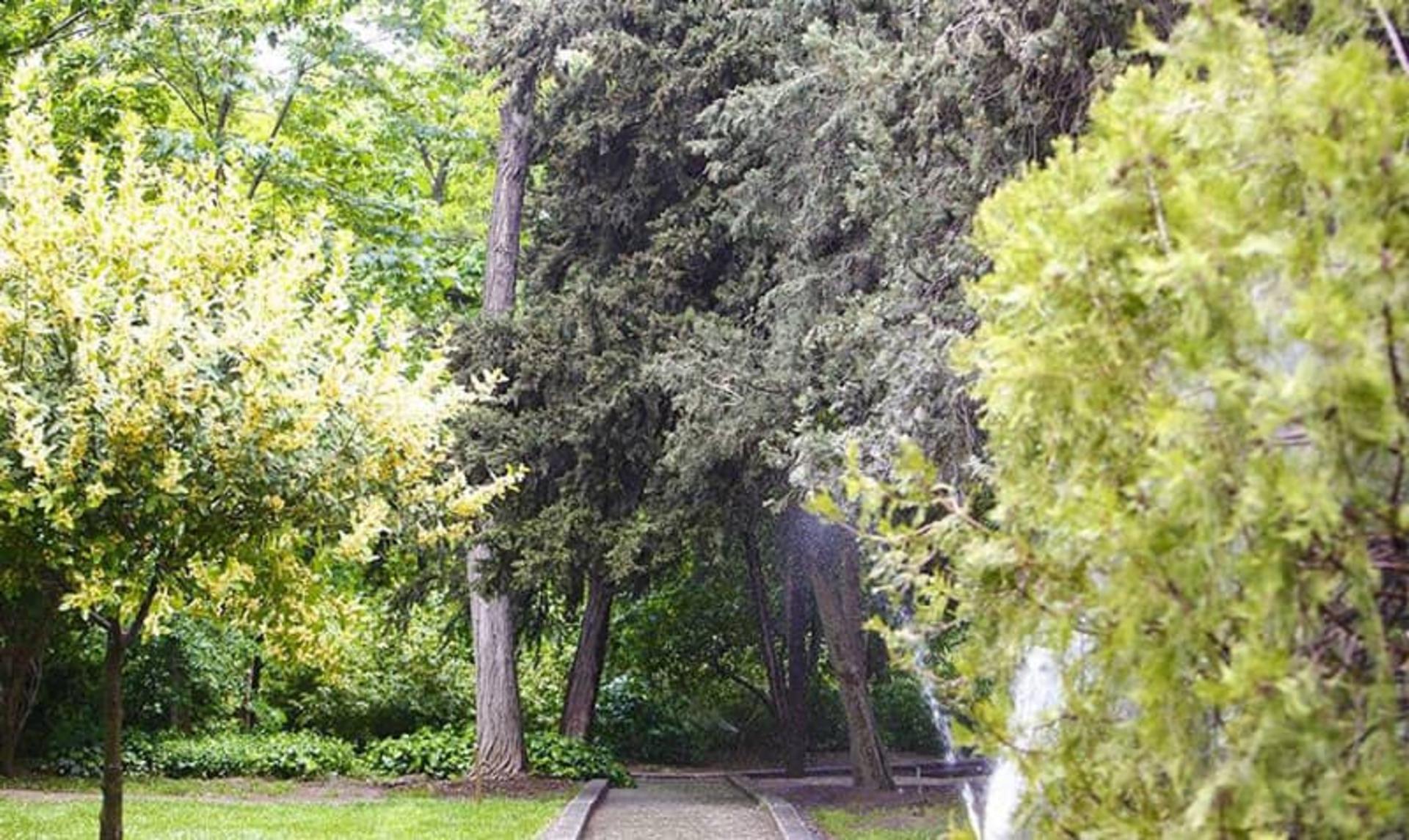 فضاهای سرسبز پارک نیاوران