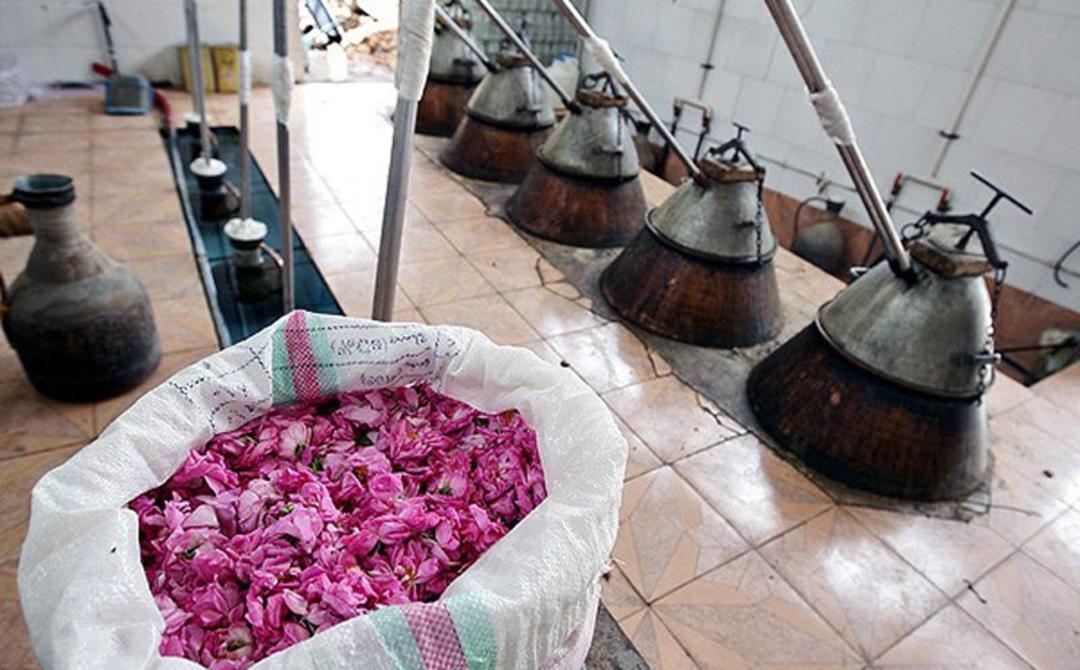 دیگ های روشن و فرآیند تقطیر گل محمدی در مراسم گلاب گیری کاان