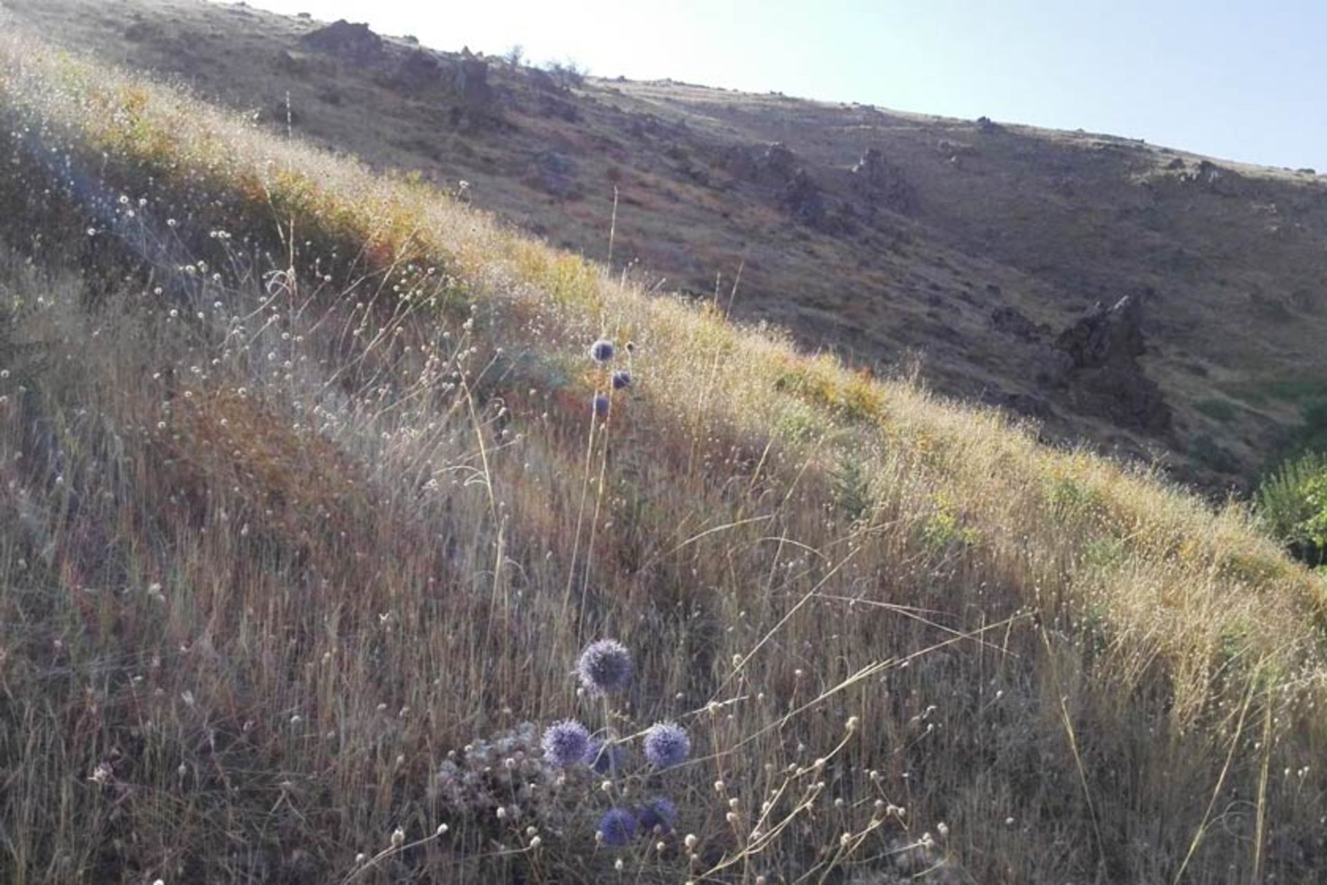 چشمه فرشه همدان