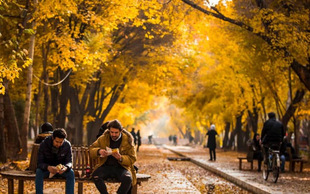 طبیعت پاییزی چهارباغ عباسی اصفهان