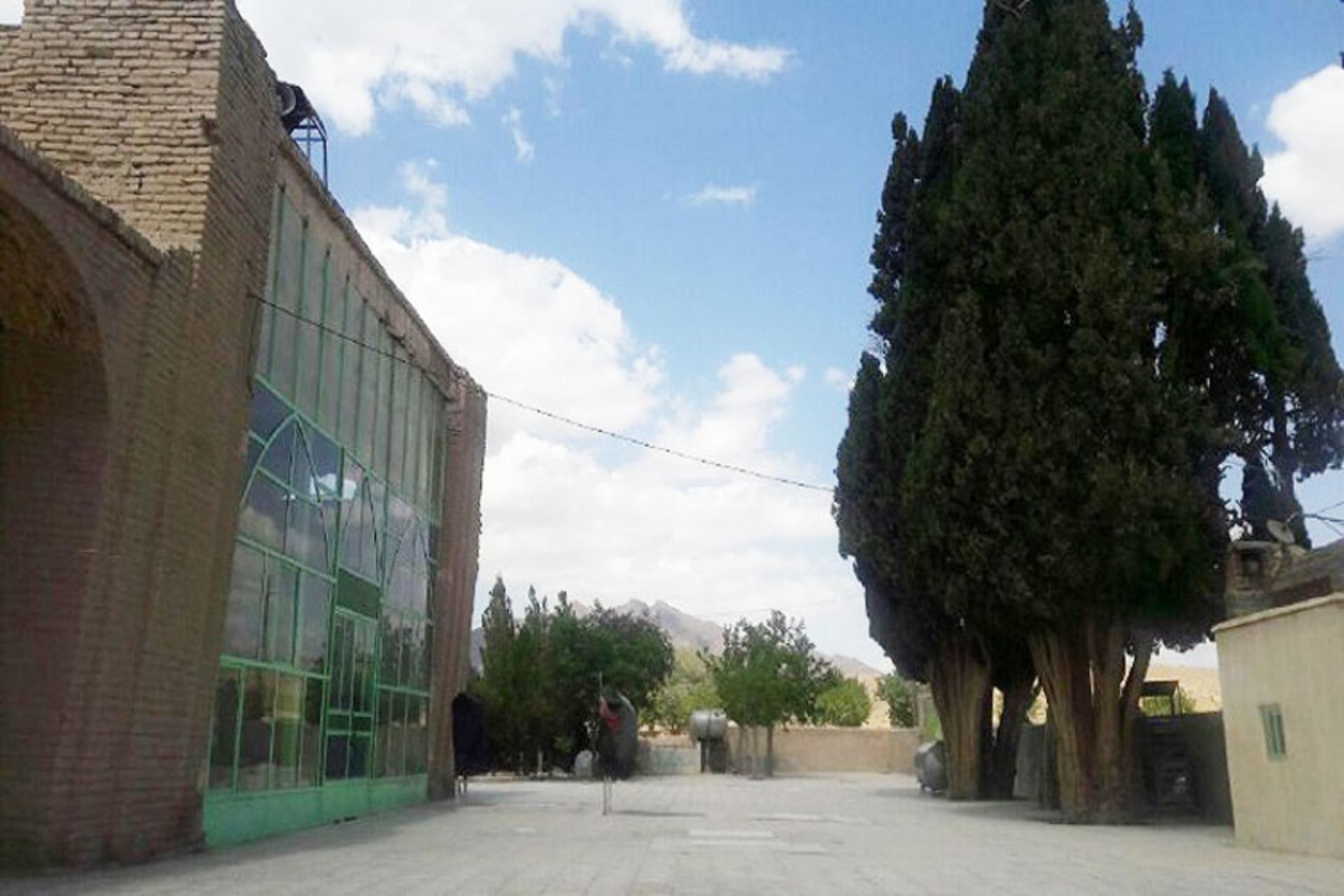 درخت سرو کهنسال مزار سید قوام الدین نوق رشتخوار