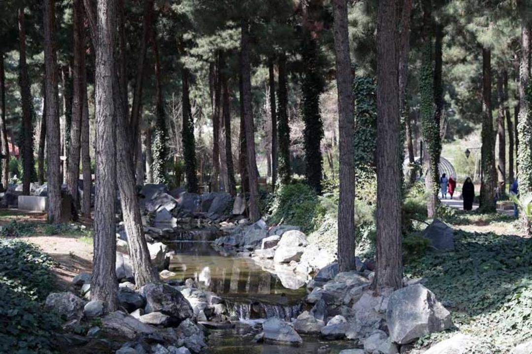 جوی آب در باغ گیاه شناسی مشهد