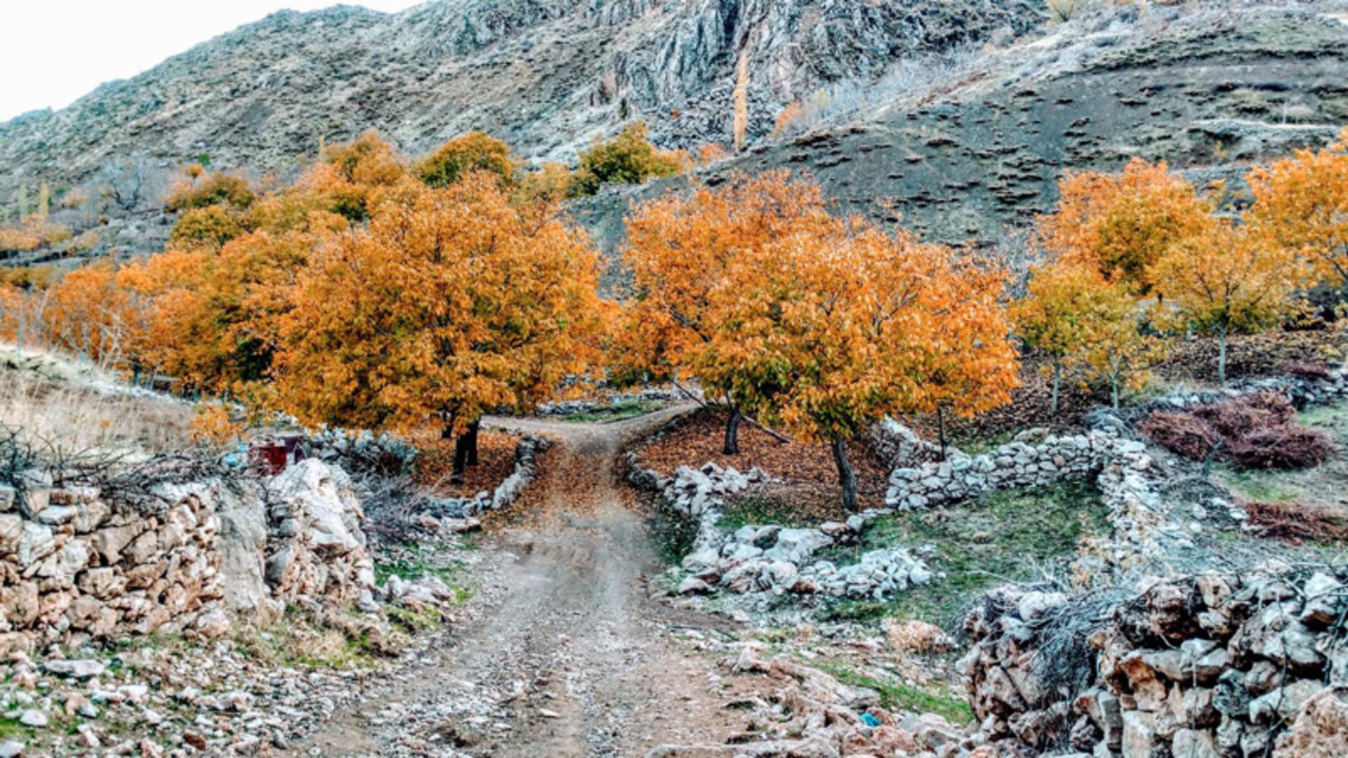 مسیر صعود به قله عودالان سرپیر در اورامانات