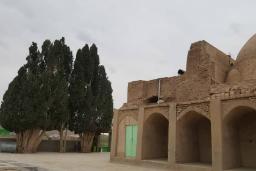 درخت سرو کهنسال مزار سید قوام الدین نوق رشتخوار
