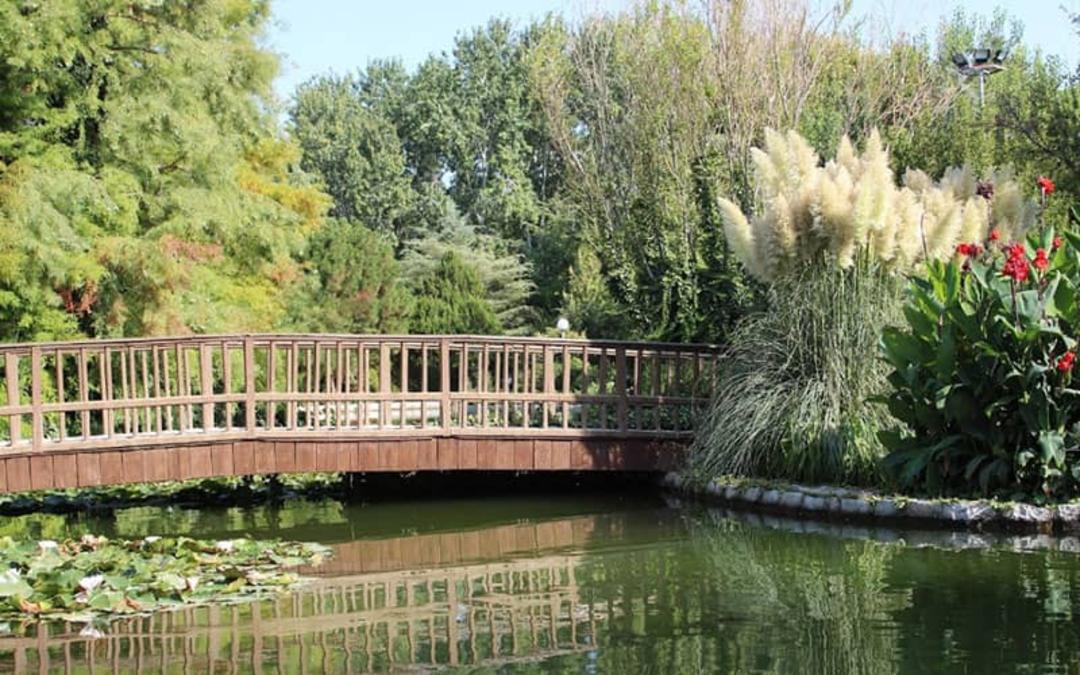 طبیعت باغ گل های اصفهان