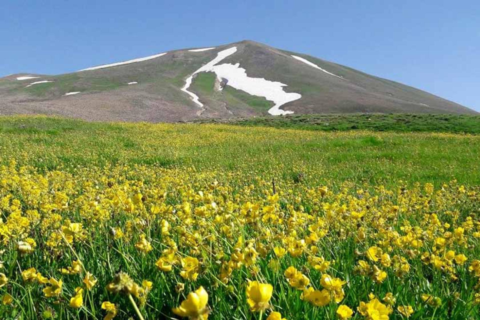 دامنه سهند در تابستان