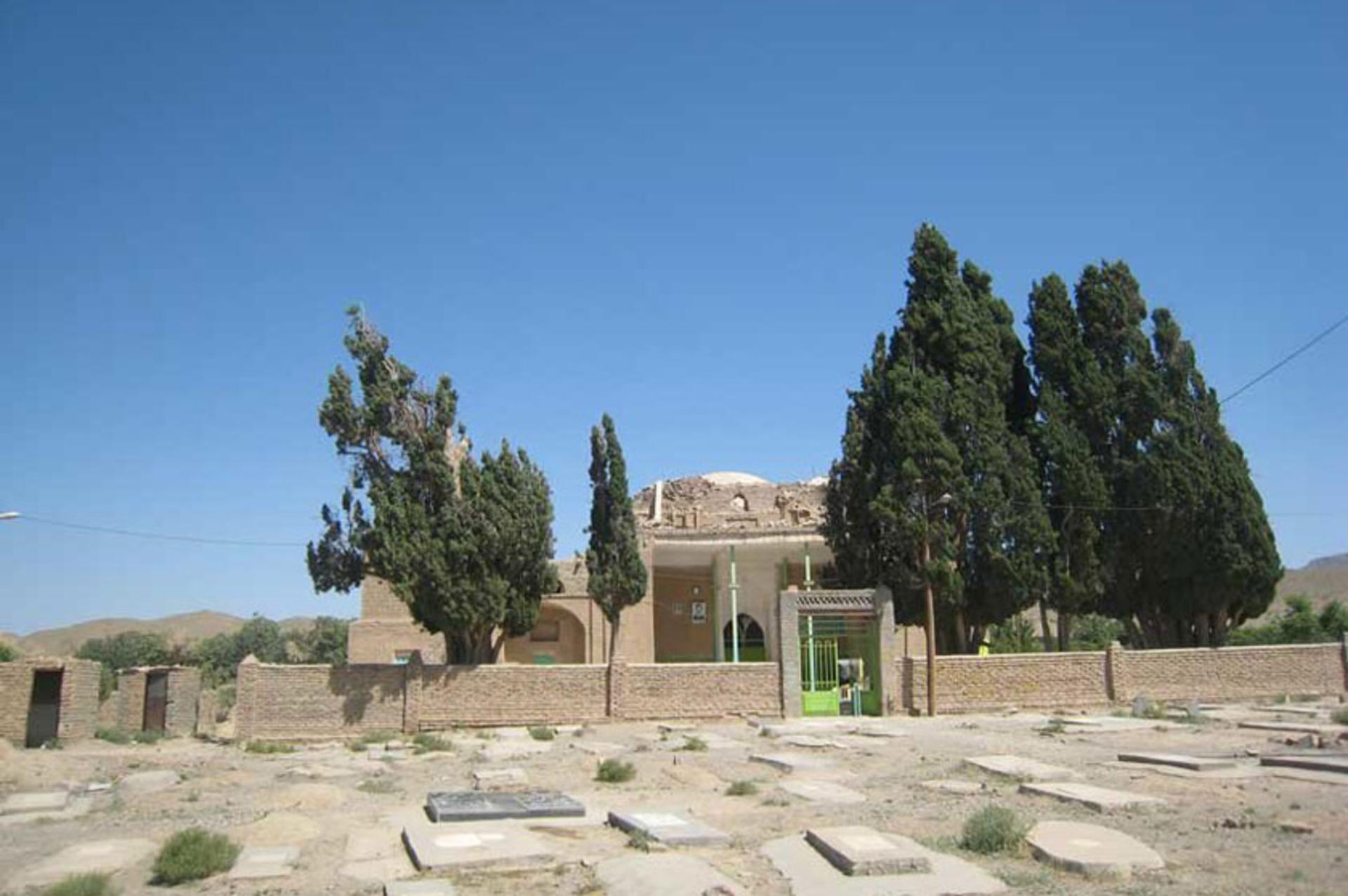 درخت سرو کهنسال مزار سید قوام الدین نوق رشتخوار