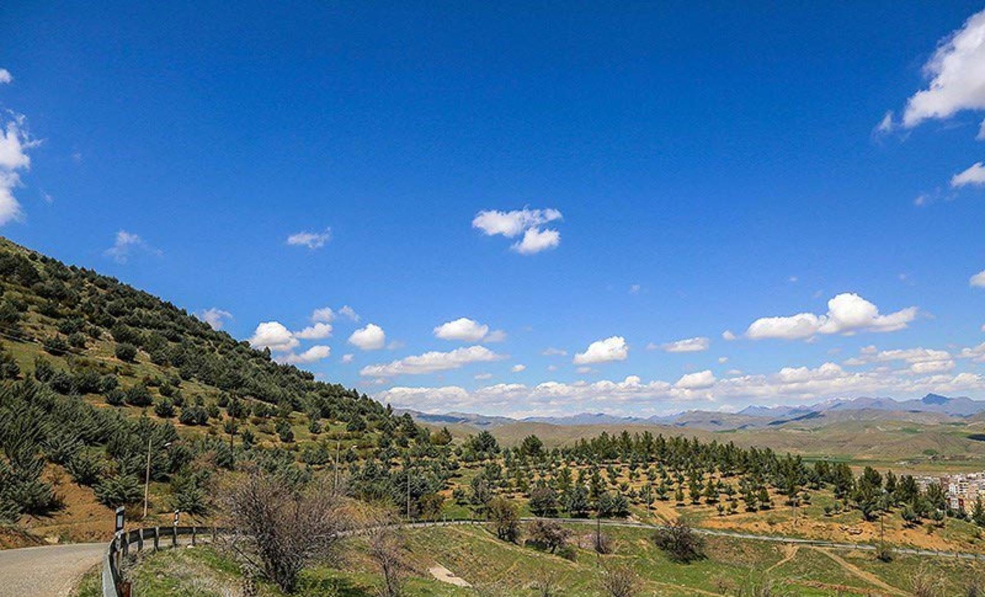 درختان پارک آبیدر زیر آسمان آبی