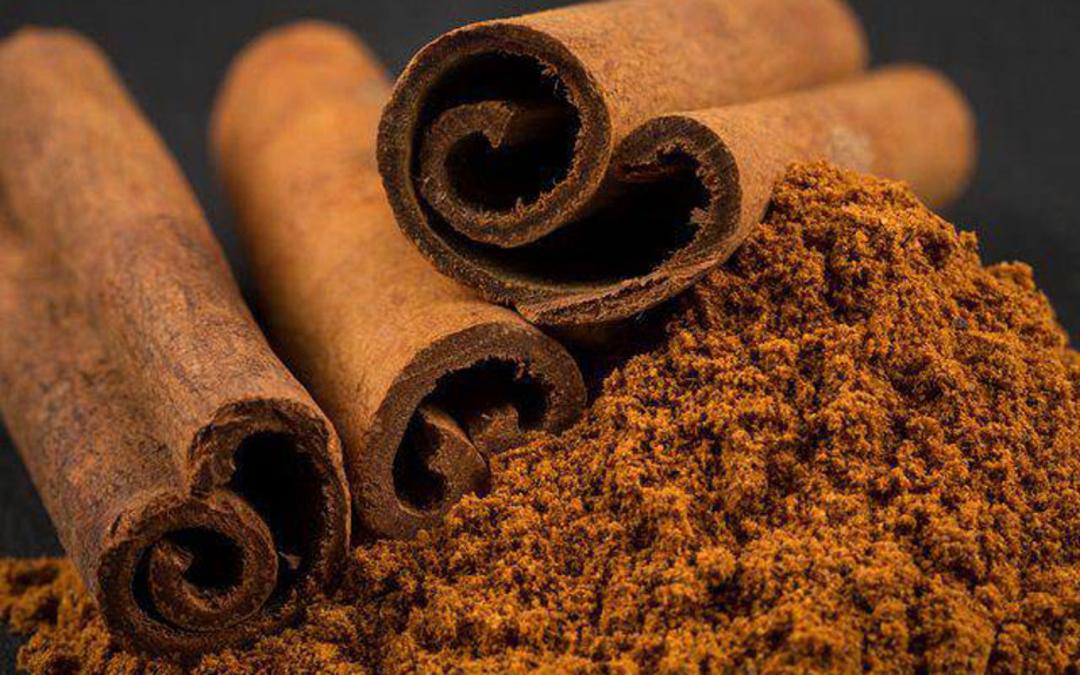 چوب دارچین ادویه محلی سریلانکا