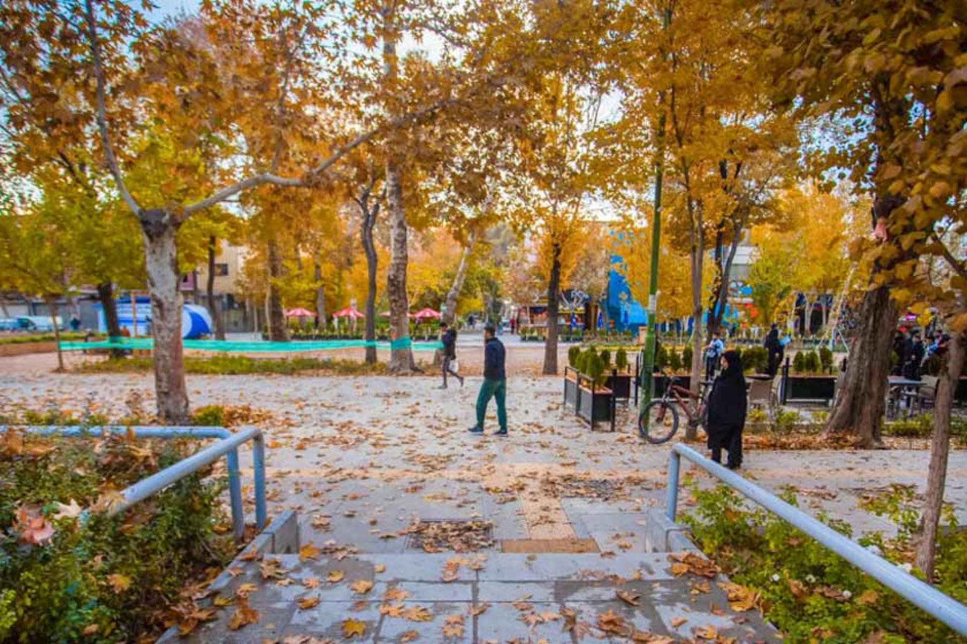 برگ‌زیران پاییزی در خیابان چهارباغ عباسی 
