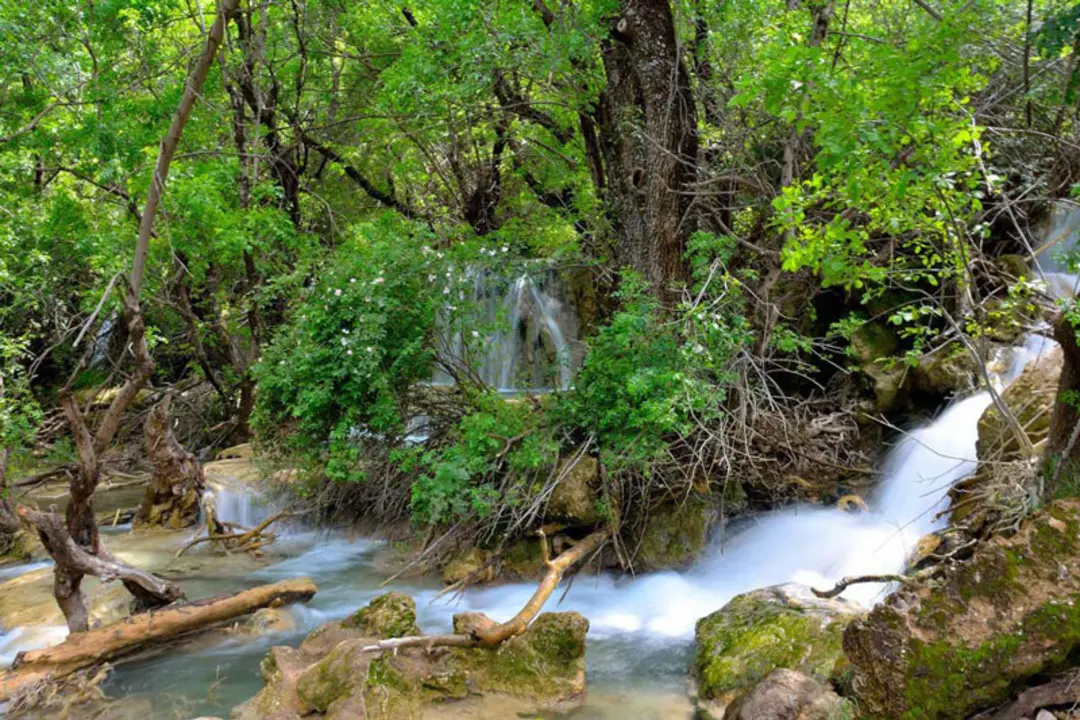 ابشار نای انگیز