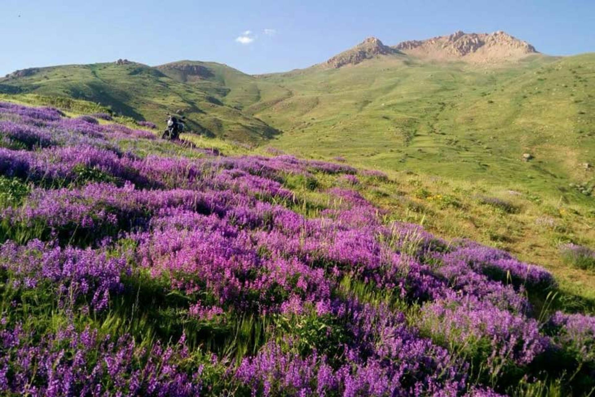 روستای گردشگری لرد
