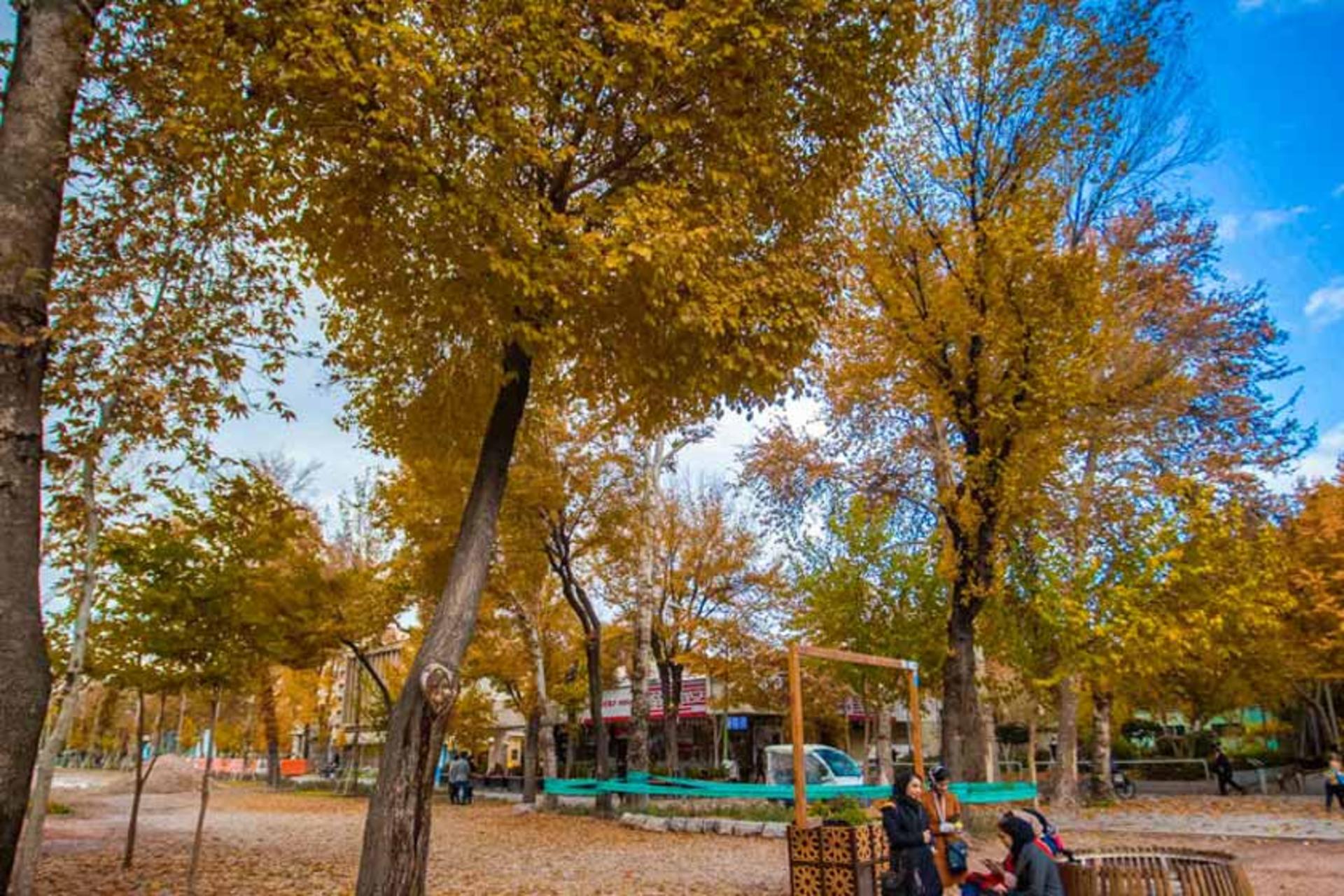 پاییز در معابر خیابان چهارباغ عباسی 