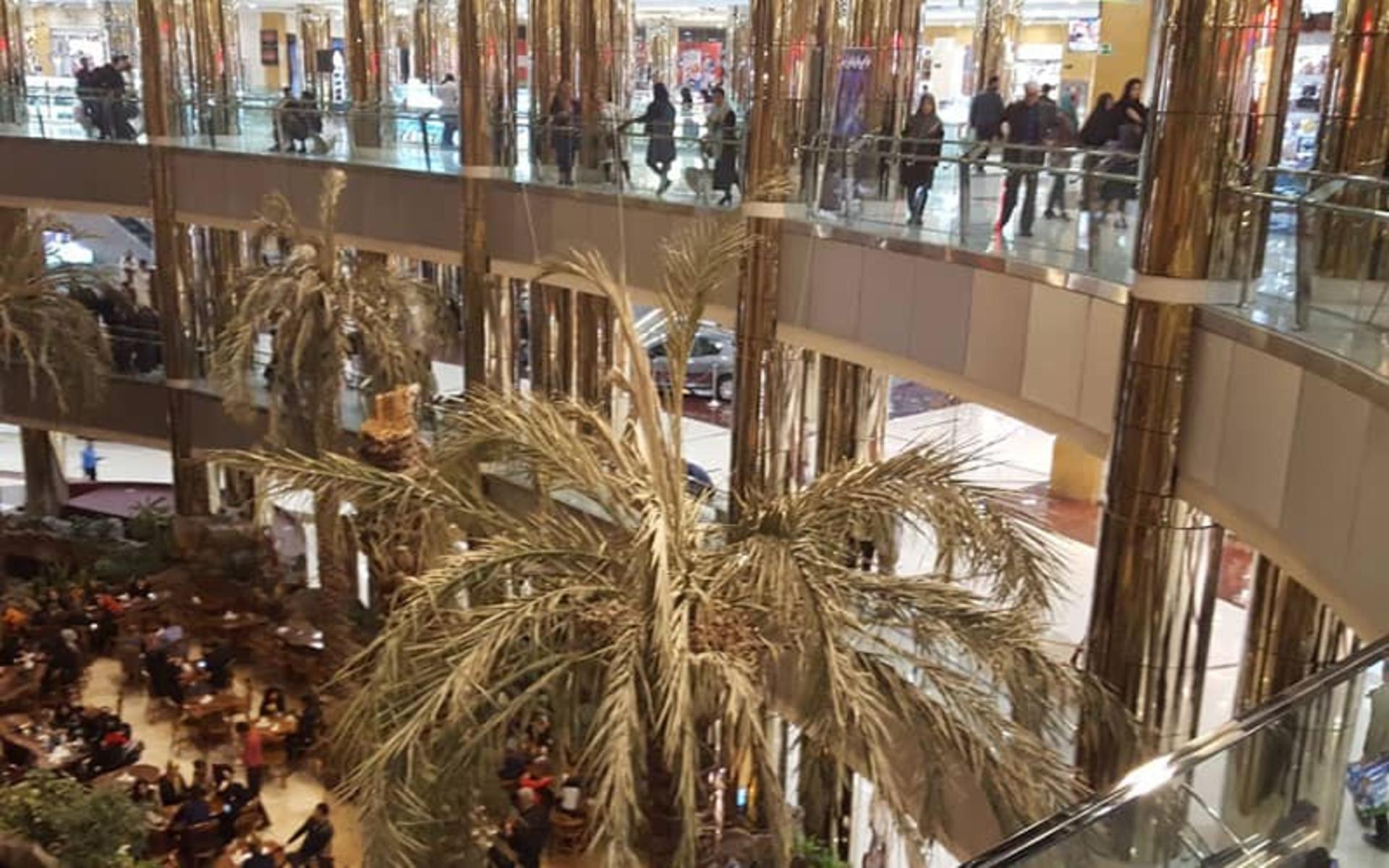 نخل های مرکز خرید آرمان مشهد